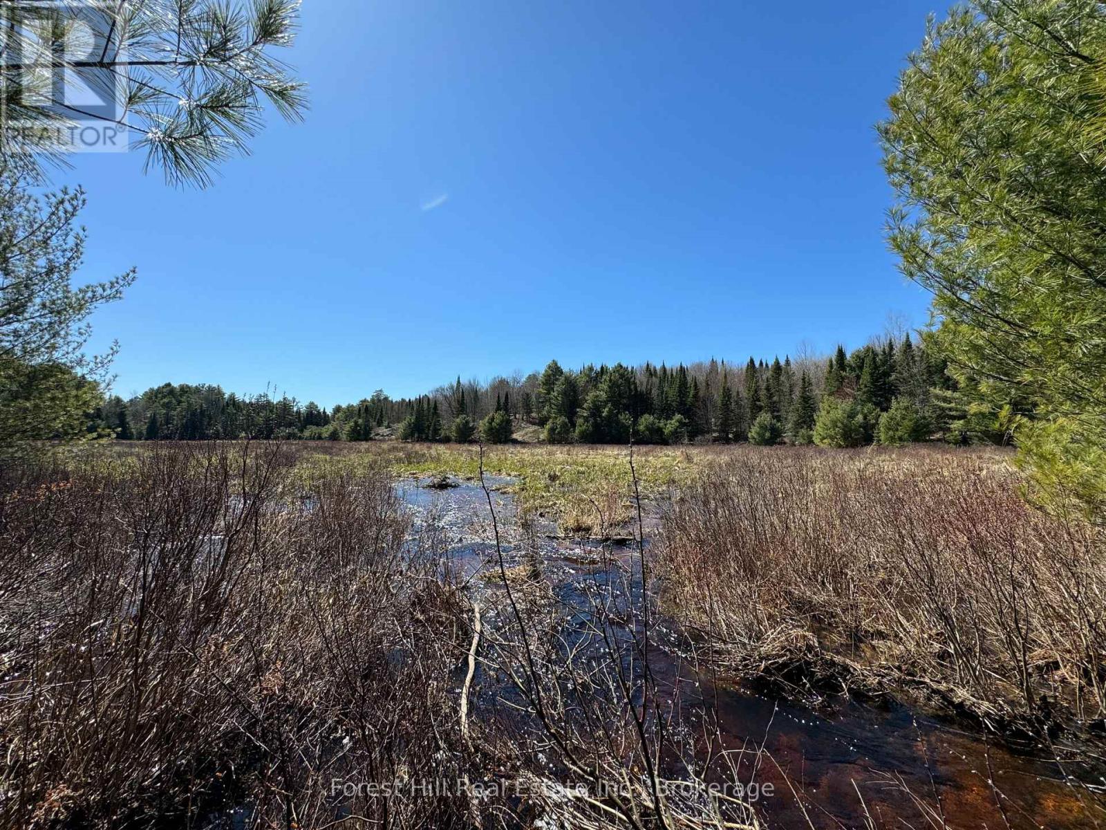 Lt32c9 Concession Line Concession, Lake Of Bays, Ontario  P0A 1B0 - Photo 42 - X12727282