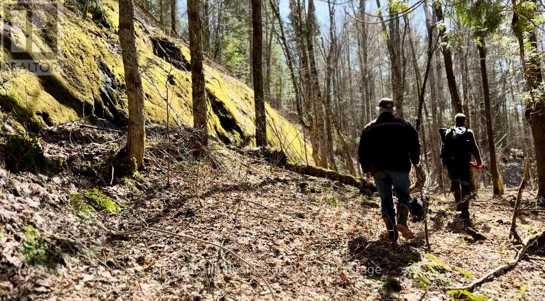 Lt32c9 Concession Line Concession, Lake Of Bays, Ontario  P0A 1B0 - Photo 48 - X12727282