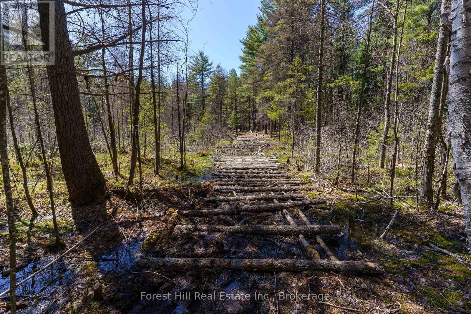 Lt32c9 Concession Line Concession, Lake Of Bays, Ontario  P0A 1B0 - Photo 5 - X12727282