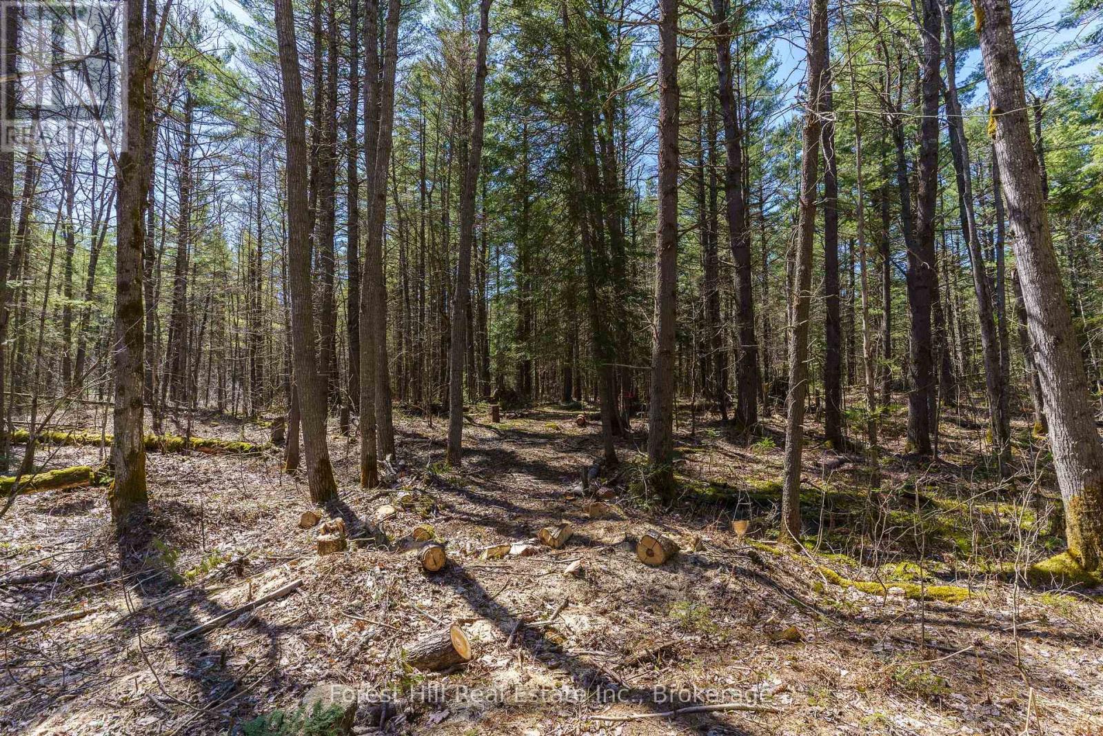 Lt32c9 Concession Line Concession, Lake Of Bays, Ontario  P0A 1B0 - Photo 9 - X12727282