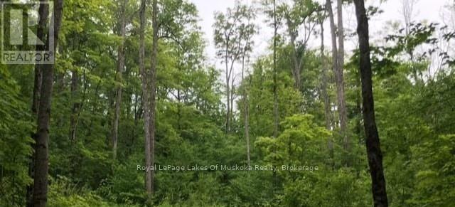 1154 Delia Road, Bracebridge, Ontario  P0B 1L0 - Photo 1 - X12728514