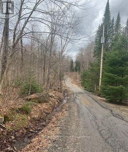 1154 Delia Road, Bracebridge, Ontario  P0B 1L0 - Photo 10 - X12728514