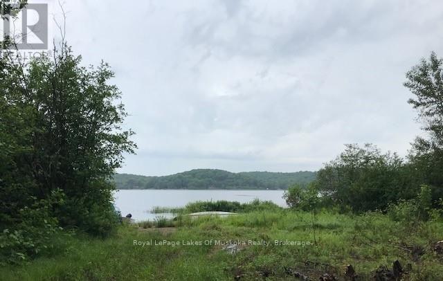 1154 Delia Road, Bracebridge, Ontario  P0B 1L0 - Photo 11 - X12728514