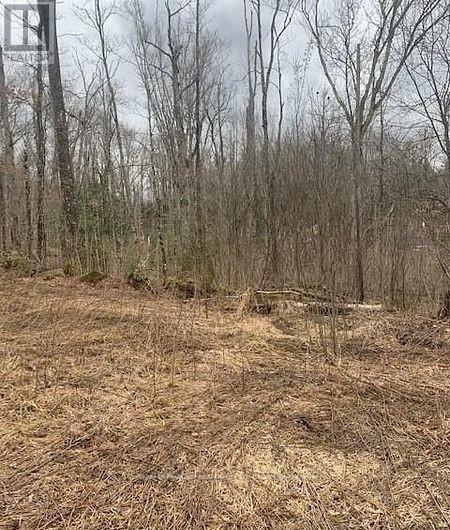 1154 Delia Road, Bracebridge, Ontario  P0B 1L0 - Photo 7 - X12728514