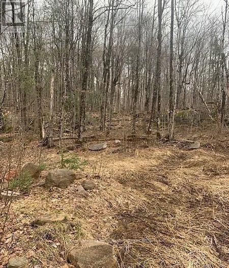 1154 Delia Road, Bracebridge, Ontario  P0B 1L0 - Photo 9 - X12728514