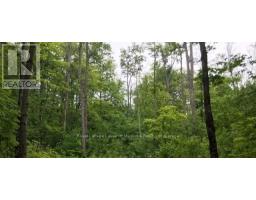 1154 DELIA ROAD, Bracebridge, Ontario