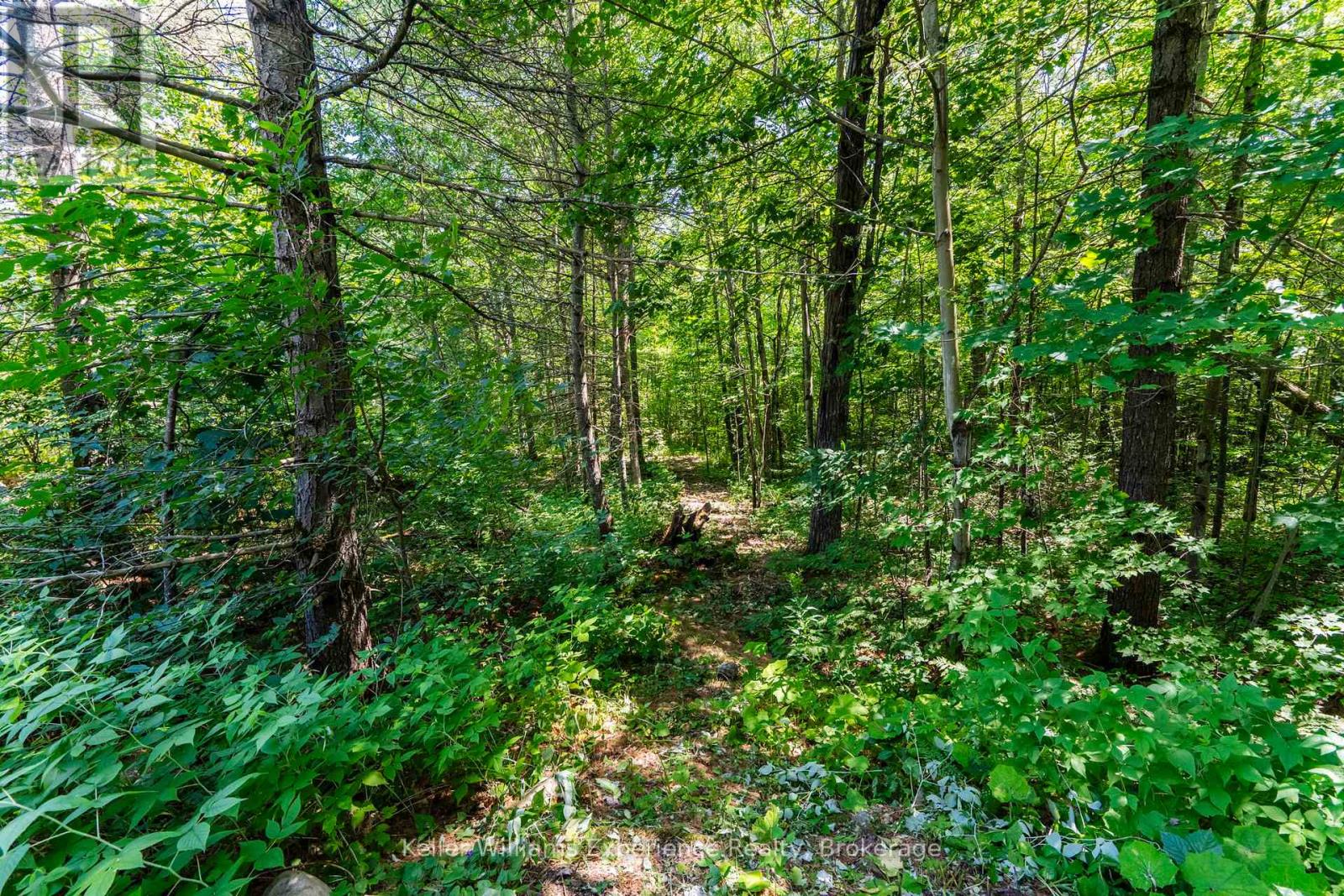 753 Honey Harbour Road, Georgian Bay, Ontario  L0K 1S0 - Photo 39 - X12747806