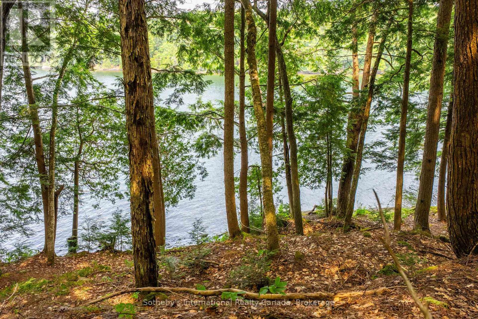 Lot C - 364 Stanley House Road, Seguin, Ontario  P0C 1J0 - Photo 26 - X12750790