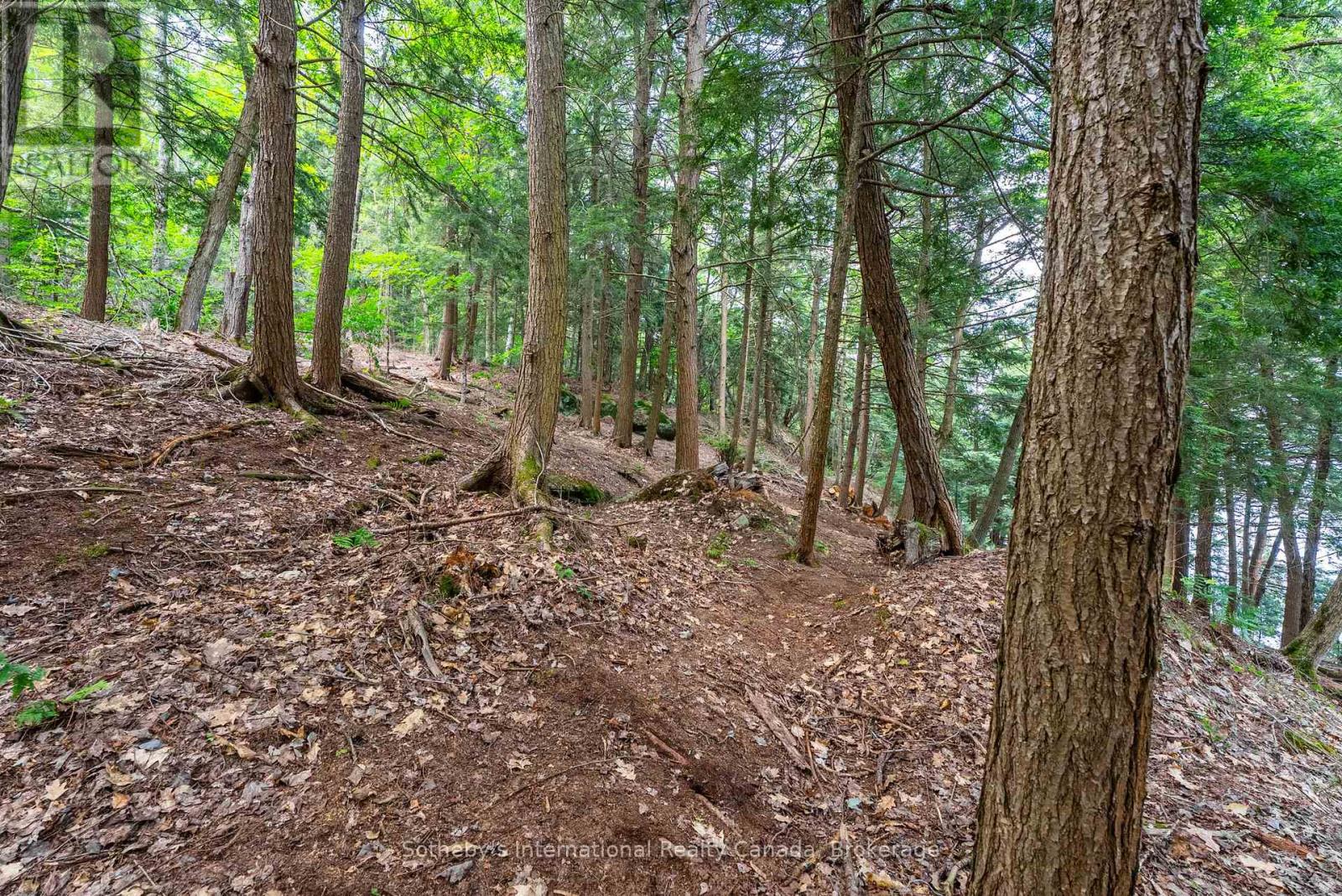 Lot C - 364 Stanley House Road, Seguin, Ontario  P0C 1J0 - Photo 28 - X12750790