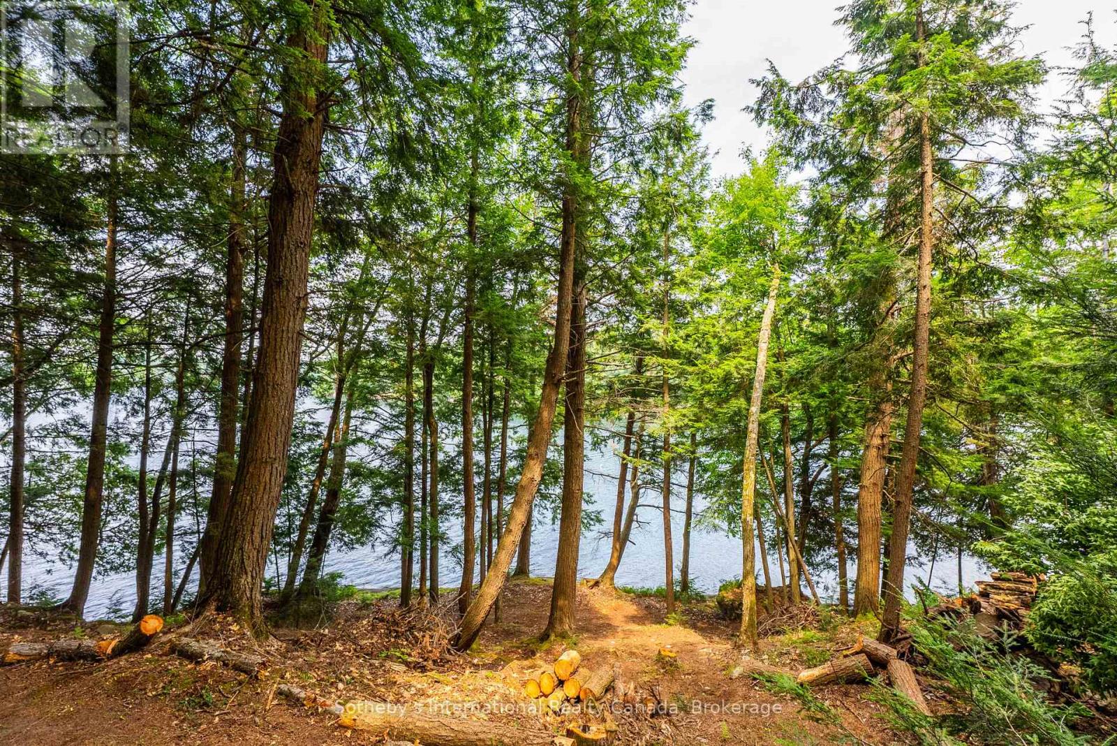 Lot C - 364 Stanley House Road, Seguin, Ontario  P0C 1J0 - Photo 29 - X12750790