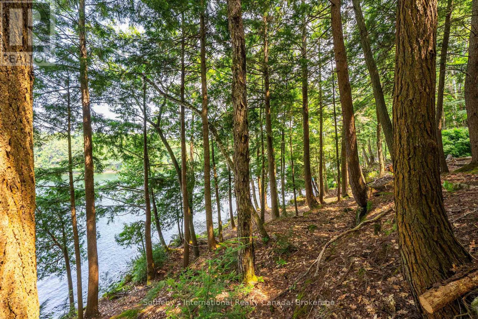 Lot C - 364 Stanley House Road, Seguin, Ontario  P0C 1J0 - Photo 33 - X12750790