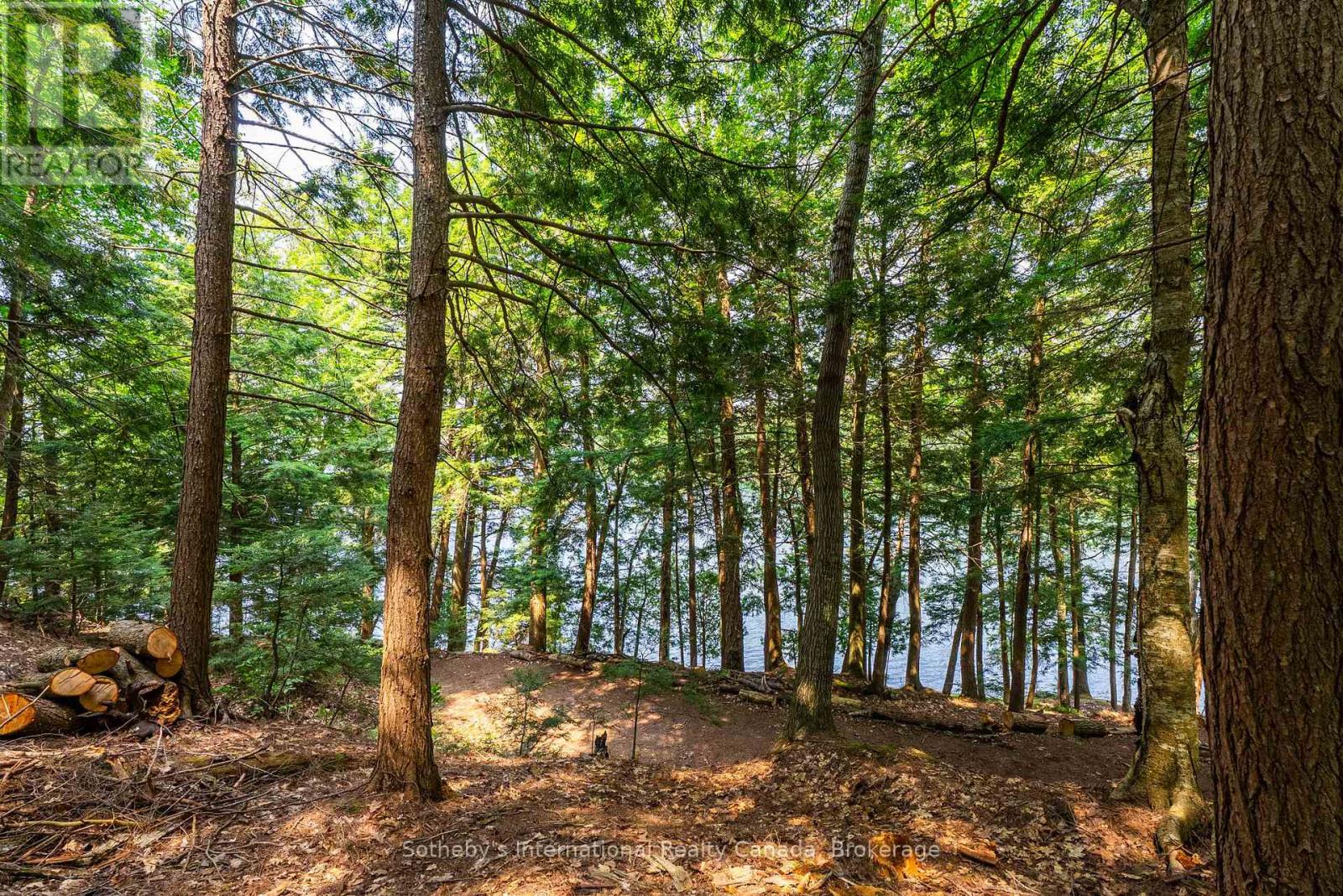 Lot C - 364 Stanley House Road, Seguin, Ontario  P0C 1J0 - Photo 34 - X12750790