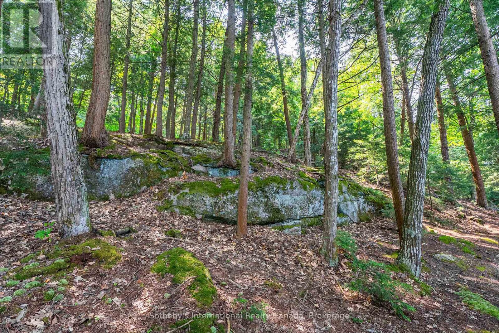 Lot C - 364 Stanley House Road, Seguin, Ontario  P0C 1J0 - Photo 38 - X12750790