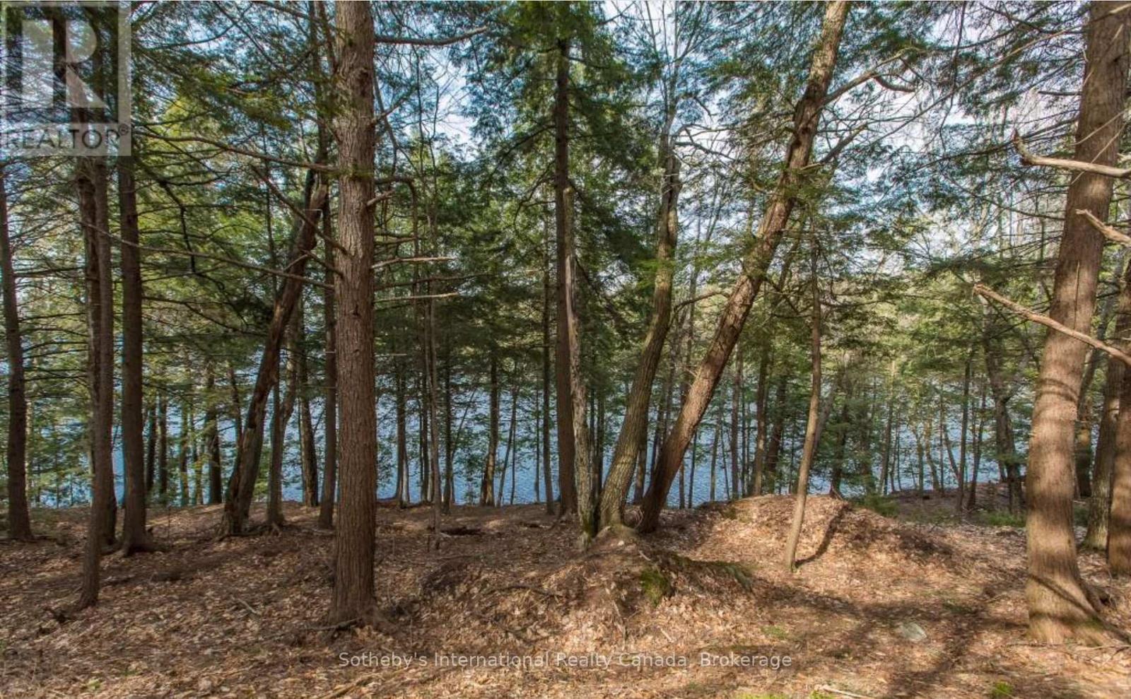 Lot C - 364 Stanley House Road, Seguin, Ontario  P0C 1J0 - Photo 6 - X12750790