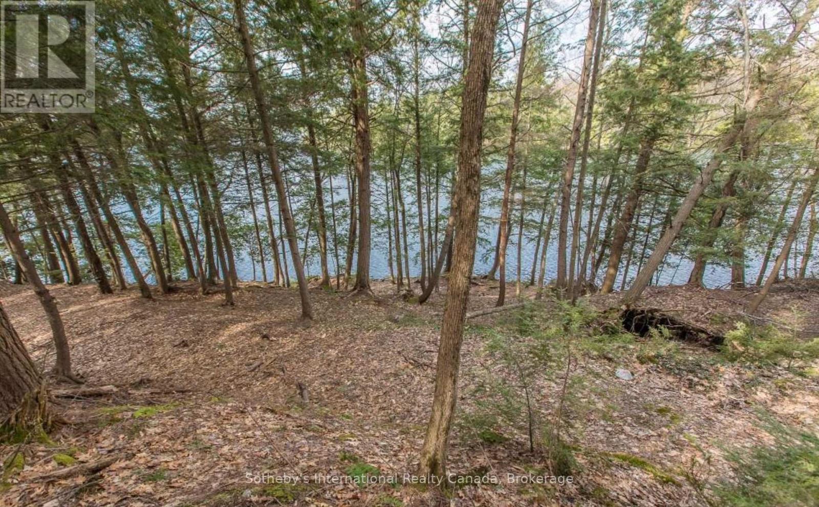 Lot C - 364 Stanley House Road, Seguin, Ontario  P0C 1J0 - Photo 7 - X12750790