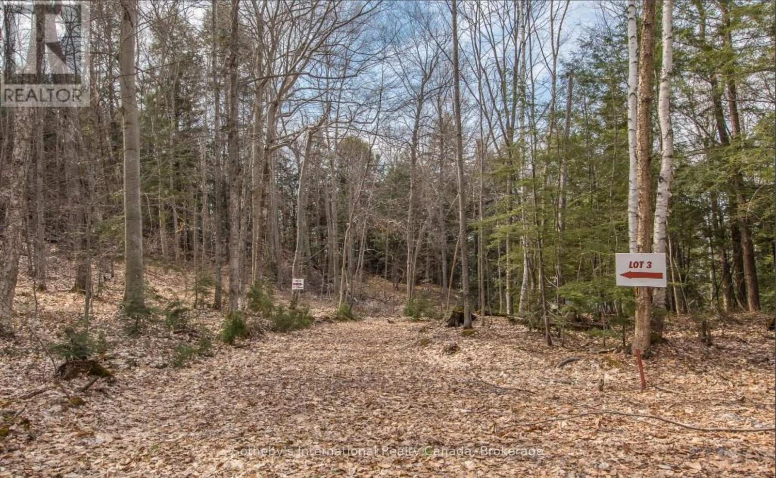 Lot C - 364 Stanley House Road, Seguin, Ontario  P0C 1J0 - Photo 9 - X12750790