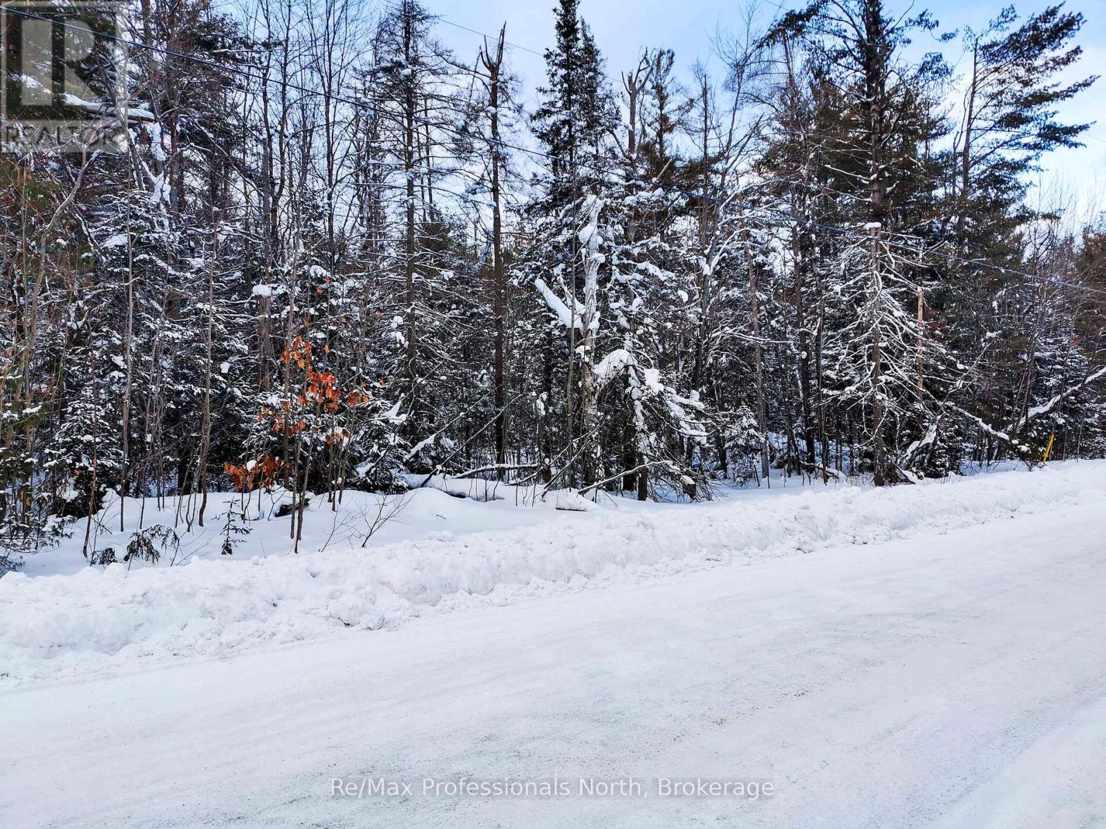 00 Germania Road, Bracebridge, Ontario  P1P 1R3 - Photo 2 - X12755996