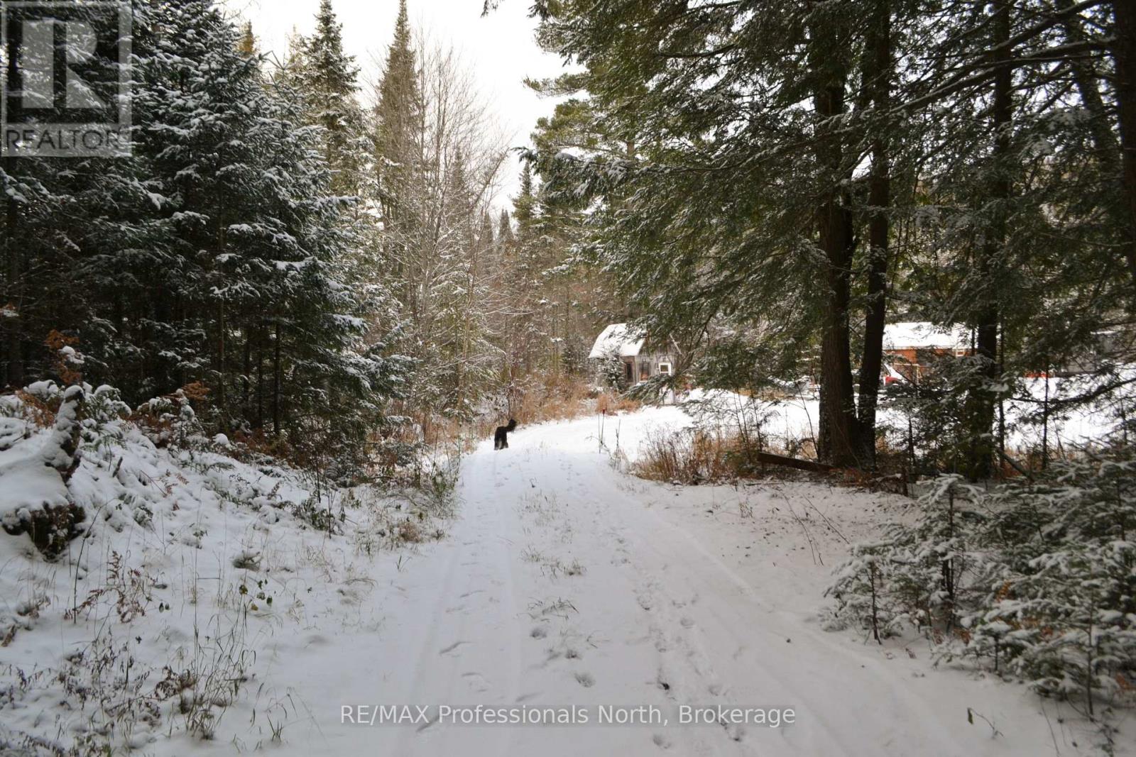 2315 Aspdin Road, Huntsville, Ontario  P0B 1M0 - Photo 10 - X12770468