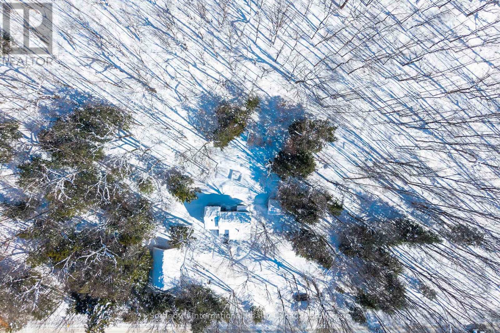 1037 Foreman Road, Muskoka Lakes, Ontario  P0B 1J0 - Photo 28 - X12770758