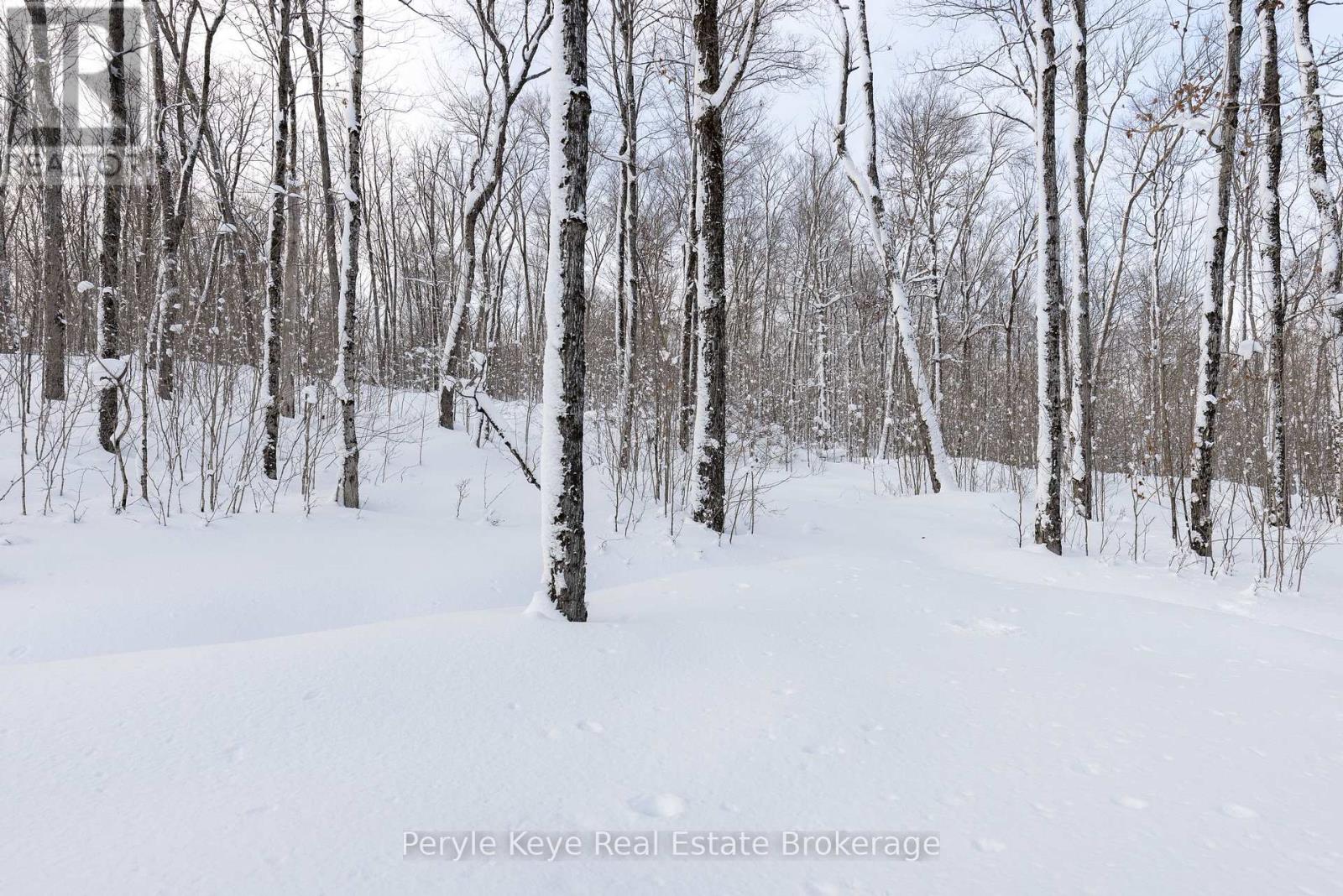 103 Granite Drive, Huntsville, Ontario  P1H 2N5 - Photo 41 - X12781994