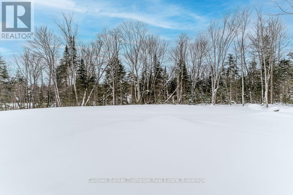 11 Glen Eagle Court, Huntsville, Ontario  P1H 1B1 - Photo 48 - X12782602