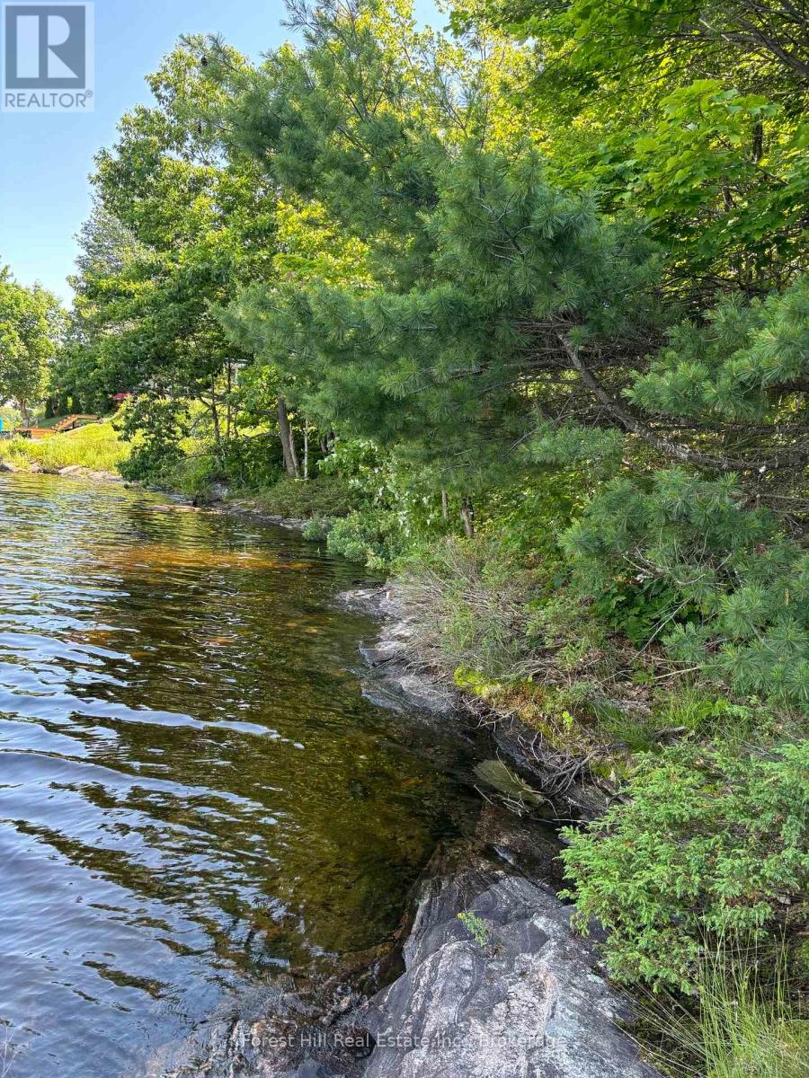 18 Hawkins Point Road, Georgian Bay, Ontario  P0C 1A0 - Photo 18 - X12794140
