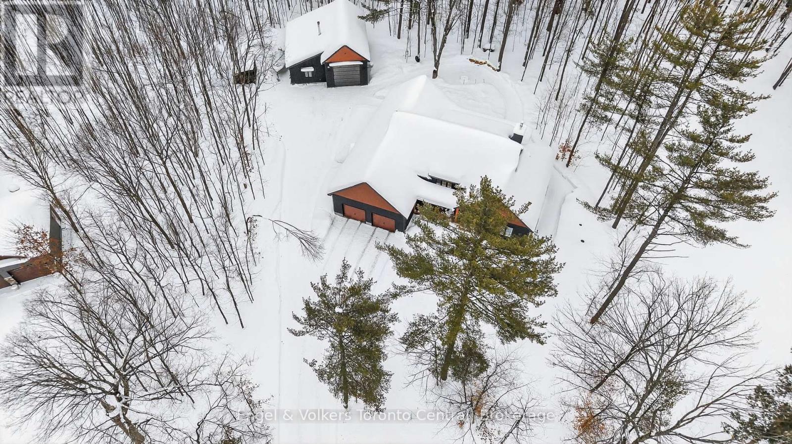 1107 Xavier Street, Gravenhurst, Ontario  P0E 1G0 - Photo 2 - X12796548