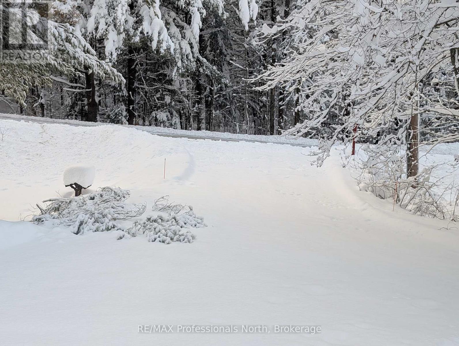 224 Stephenson 4 Road W, Huntsville, Ontario  P0B 1M0 - Photo 24 - X12800202