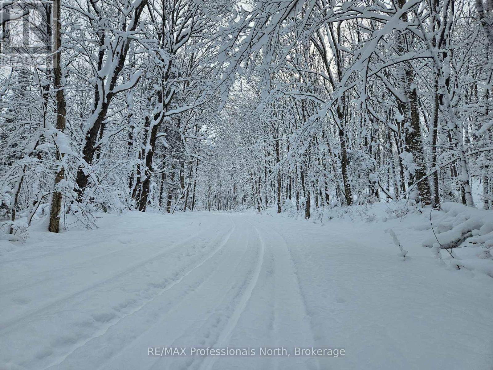 462 Cardwell Lake Road, Huntsville, Ontario  P1H 1E7 - Photo 1 - X12803910