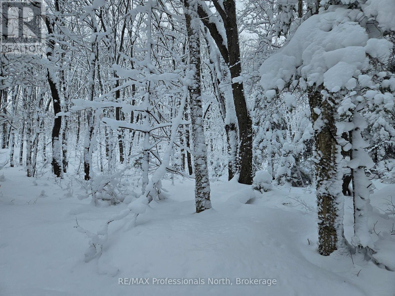 462 Cardwell Lake Road, Huntsville, Ontario  P1H 1E7 - Photo 2 - X12803910