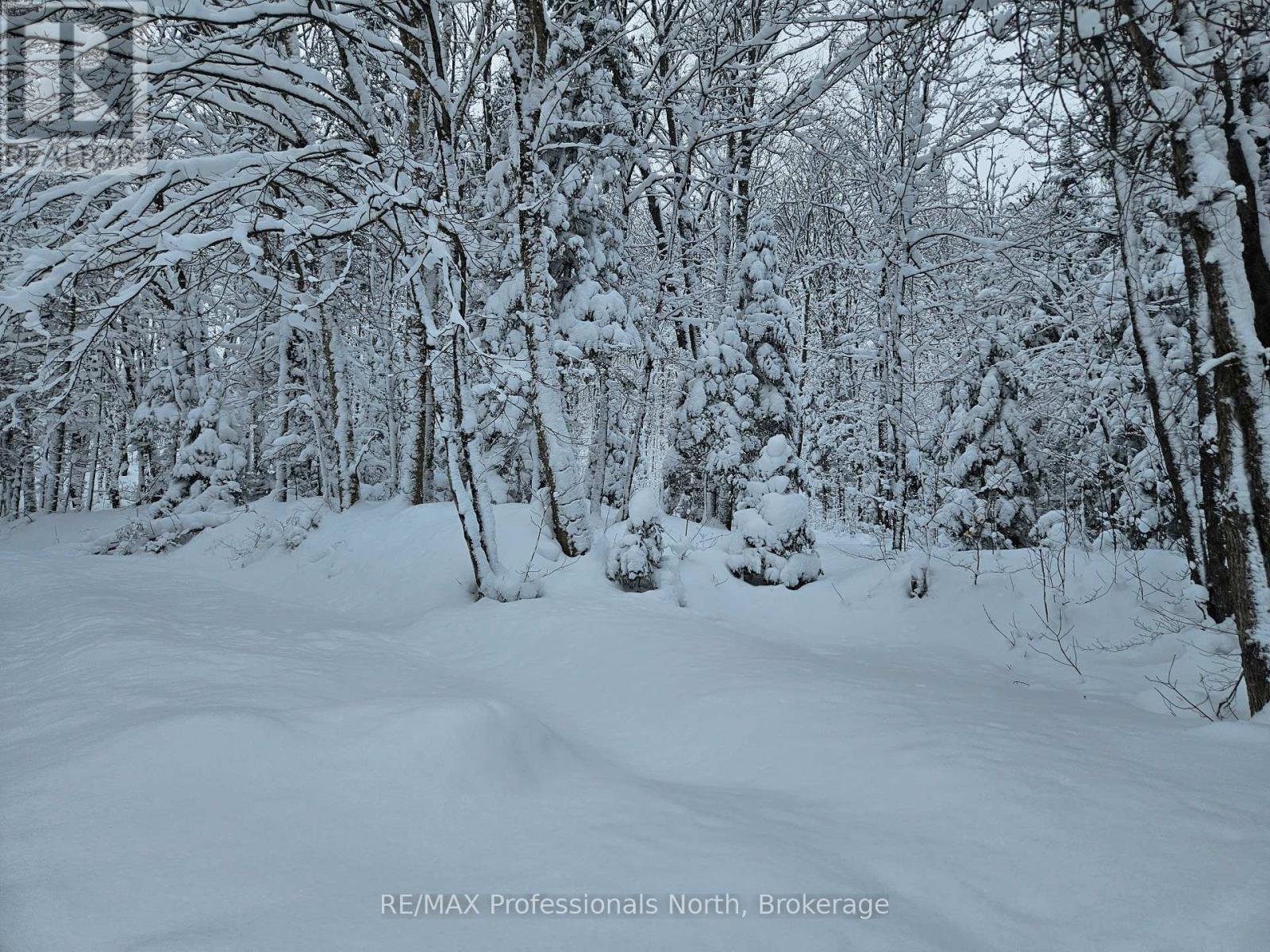 462 Cardwell Lake Road, Huntsville, Ontario  P1H 1E7 - Photo 4 - X12803910