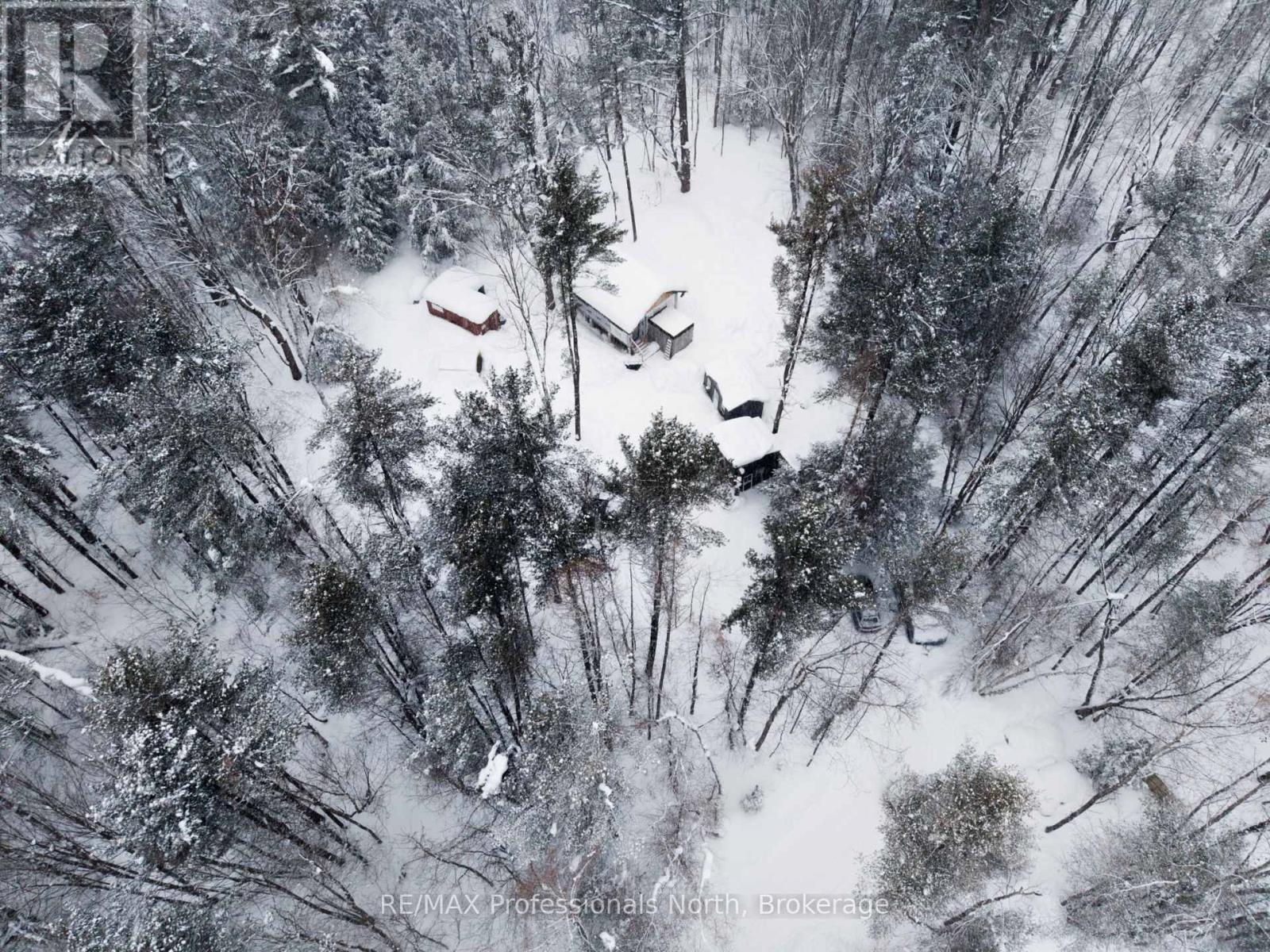 1219 Medora Lake Road, Muskoka Lakes, Ontario  P0C 1A0 - Photo 13 - X12805810