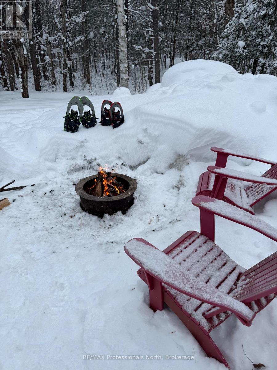 1219 Medora Lake Road, Muskoka Lakes, Ontario  P0C 1A0 - Photo 36 - X12805810