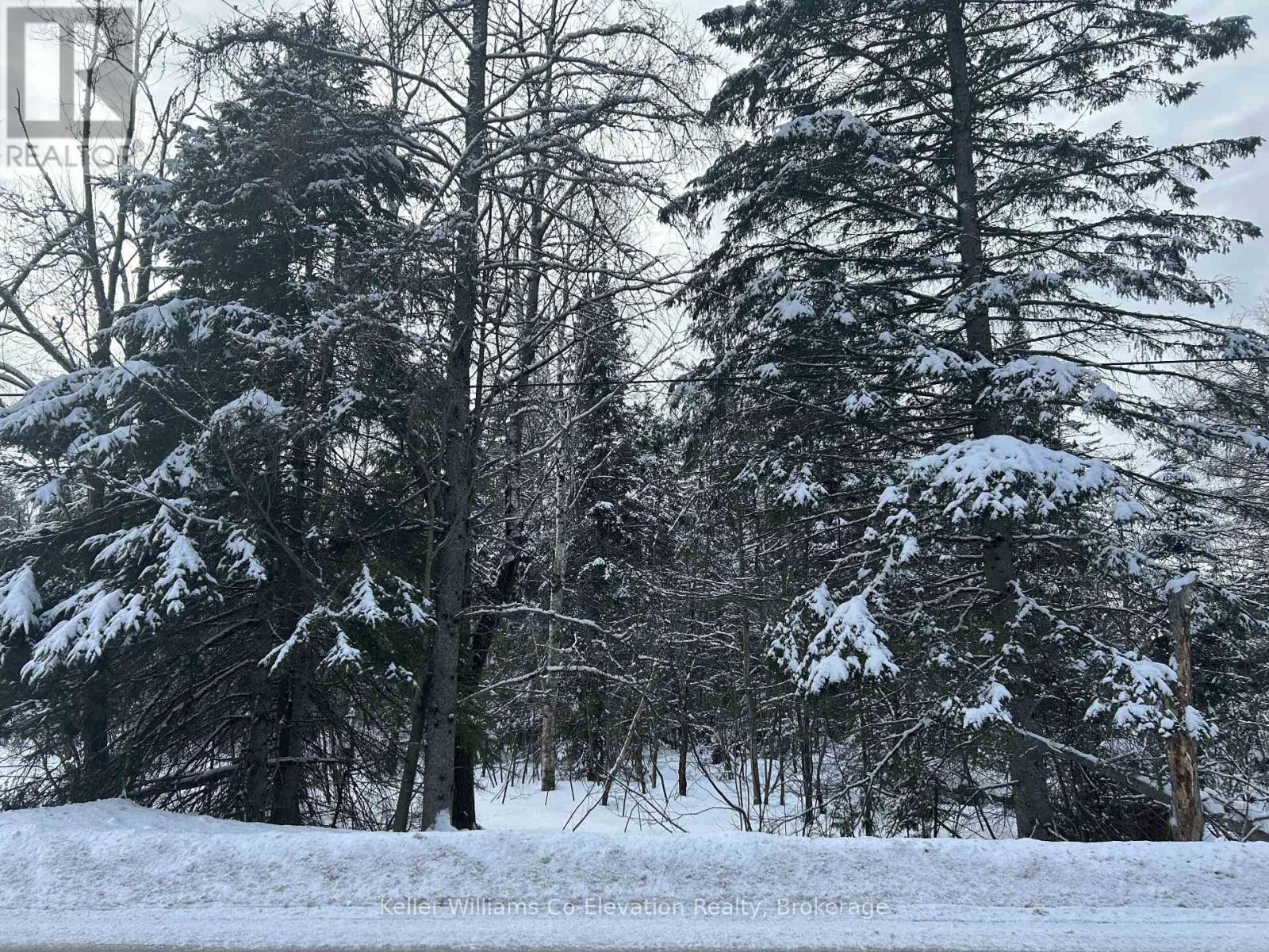 Pt Lt 16 Barkway Road, Gravenhurst, Ontario  P1P 1R3 - Photo 6 - X12813250