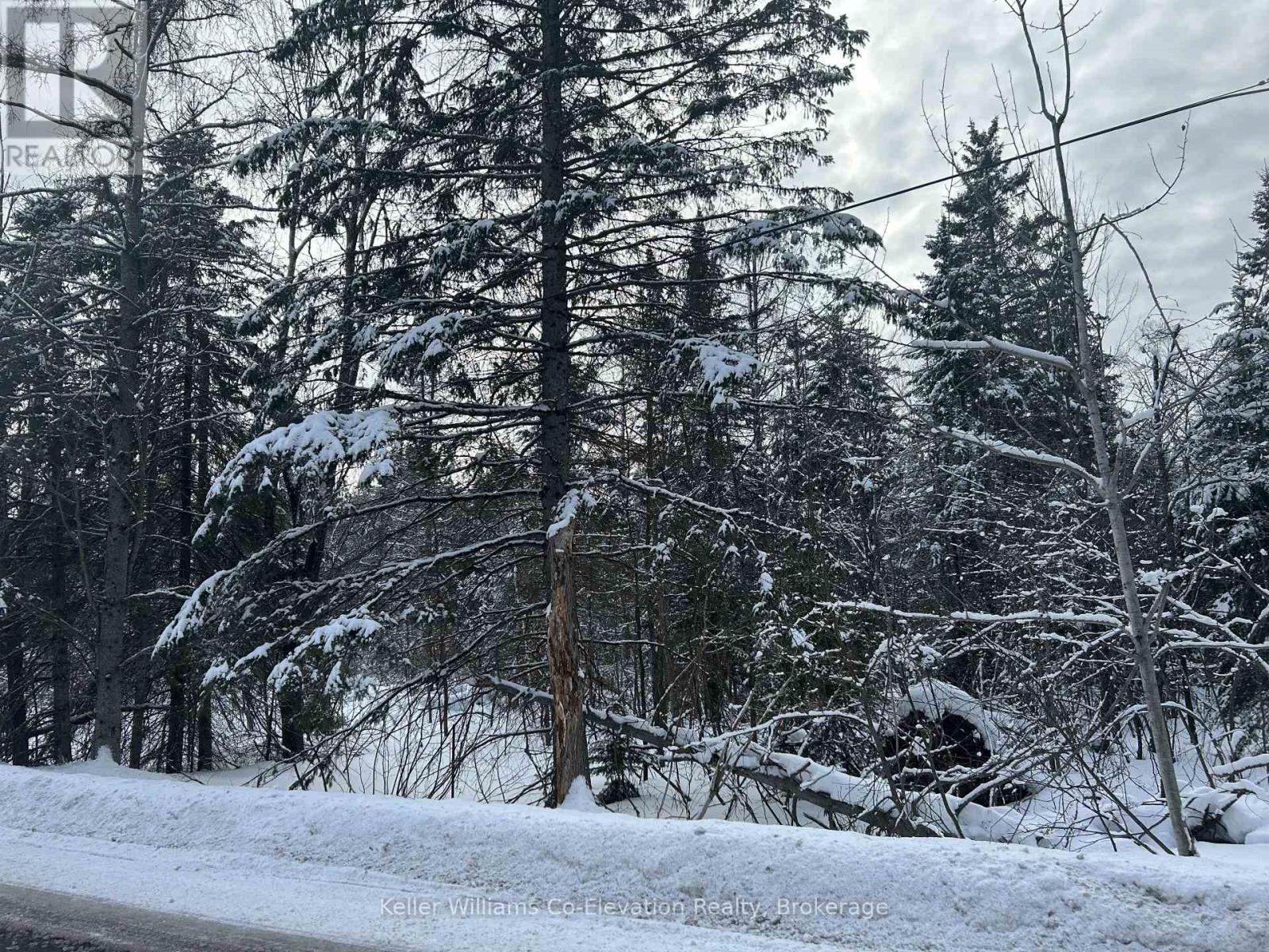 Pt Lt 16 Barkway Road, Gravenhurst, Ontario  P1P 1R3 - Photo 7 - X12813250