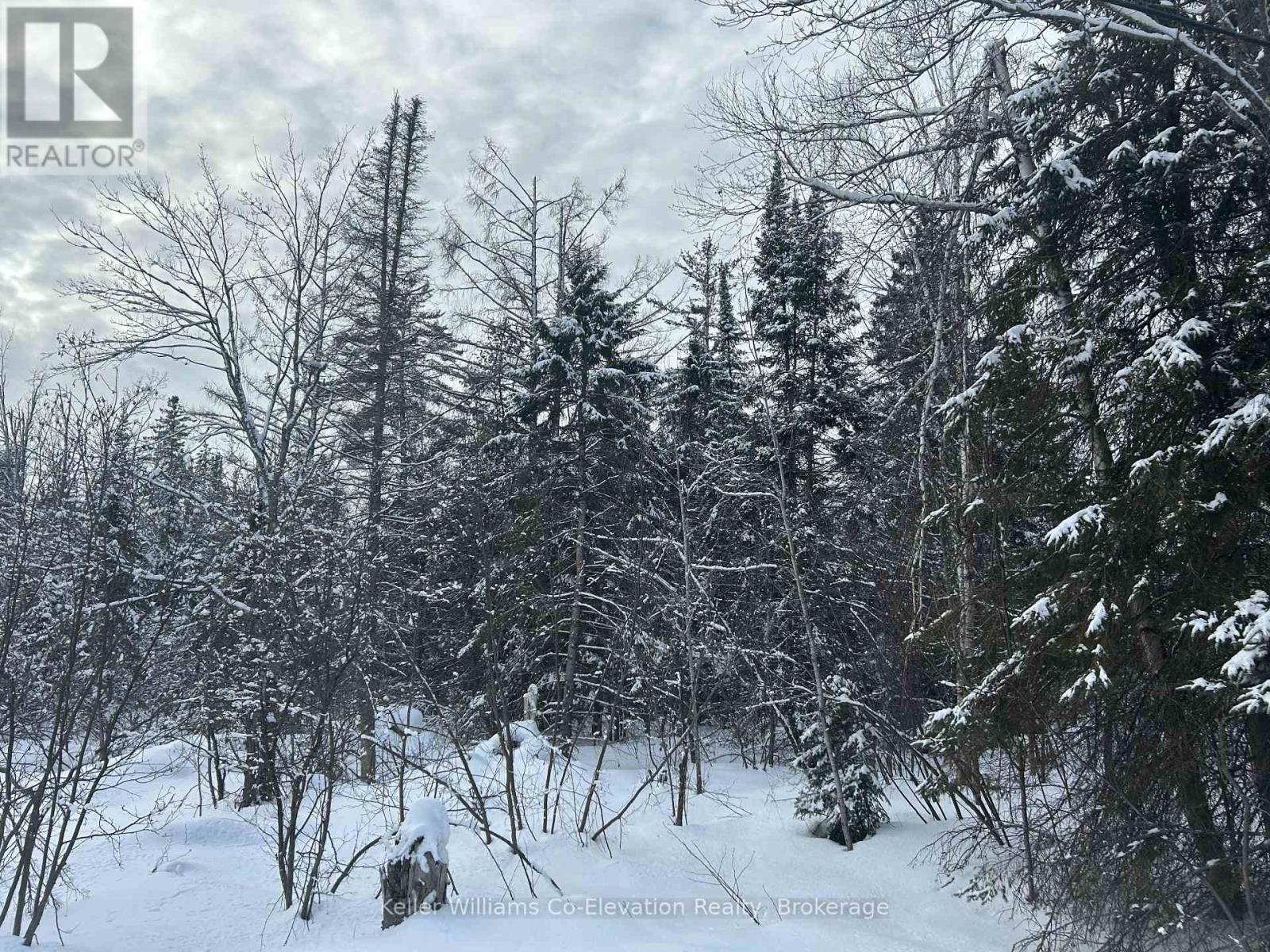 Pt Lt 16 Barkway Road, Gravenhurst, Ontario  P1P 1R3 - Photo 8 - X12813250