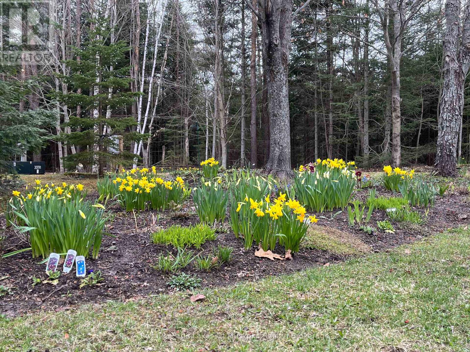 57 Hiawatha Drive, Huntsville, Ontario  P0B 1L0 - Photo 42 - X12822950