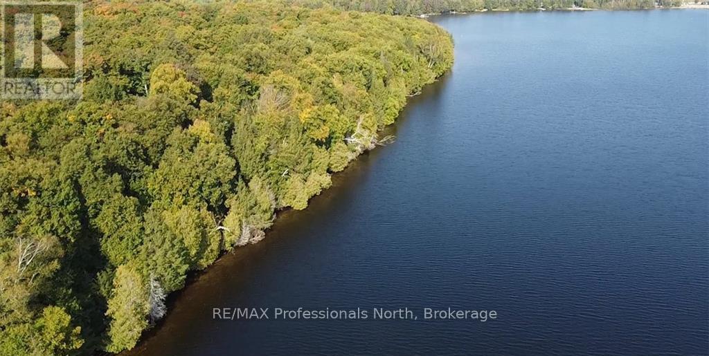 1448-1 West Oxbow Lake Road, Lake Of Bays, Ontario  P1H 2J6 - Photo 12 - X12823298