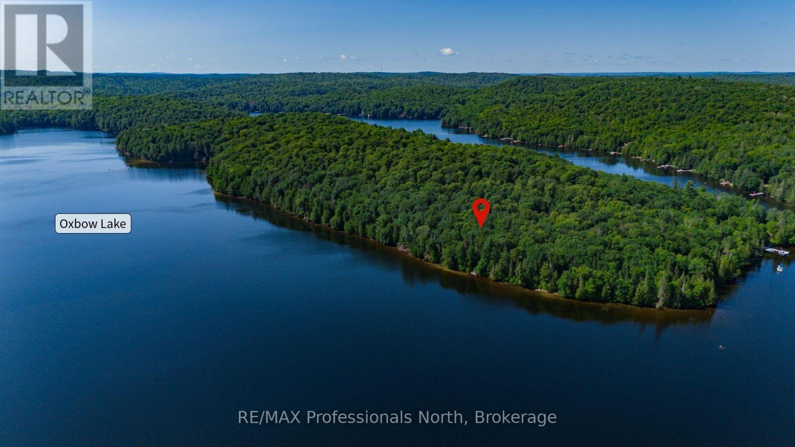 1484-1 West Oxbow Lake Road, Lake Of Bays, Ontario P1H 2J6 - Photo 20 - X12823298