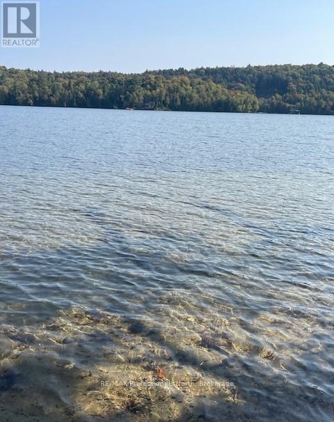 1448-1 West Oxbow Lake Road, Lake Of Bays, Ontario  P1H 2J6 - Photo 6 - X12823298