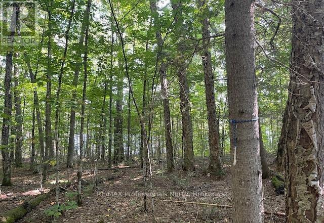 1448-1 West Oxbow Lake Road, Lake Of Bays, Ontario  P1H 2J6 - Photo 7 - X12823298