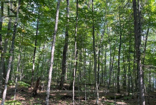 1448-1 West Oxbow Lake Road, Lake Of Bays, Ontario  P1H 2J6 - Photo 8 - X12823298