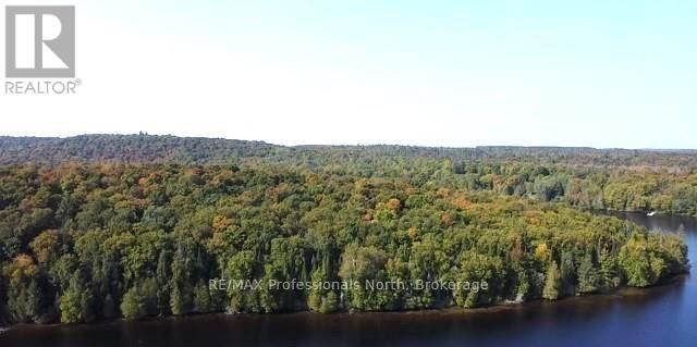 1448-1 West Oxbow Lake Road, Lake Of Bays, Ontario  P1H 2J6 - Photo 9 - X12823298