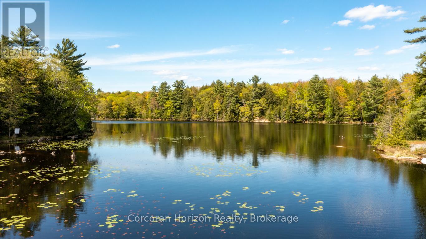 Lt 14 Hungry Bay Road, Georgian Bay, Ontario  L0K 1S0 - Photo 11 - X12825796