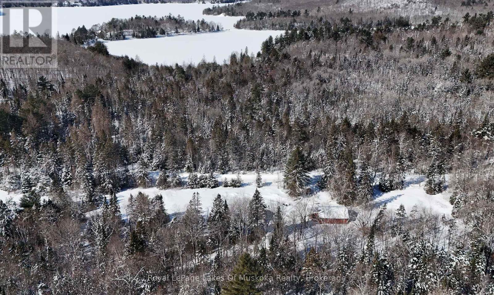 75 Old Novar Road, Huntsville, Ontario  P1H 2J2 - Photo 12 - X12825818