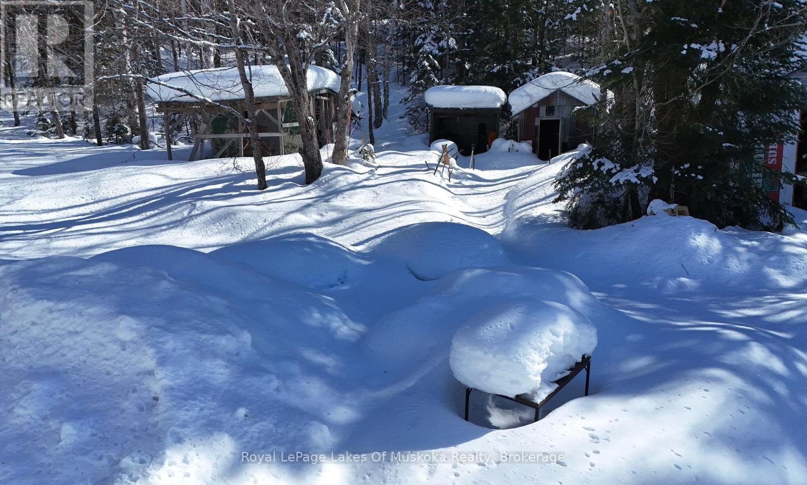 75 Old Novar Road, Huntsville, Ontario  P1H 2J2 - Photo 9 - X12825818