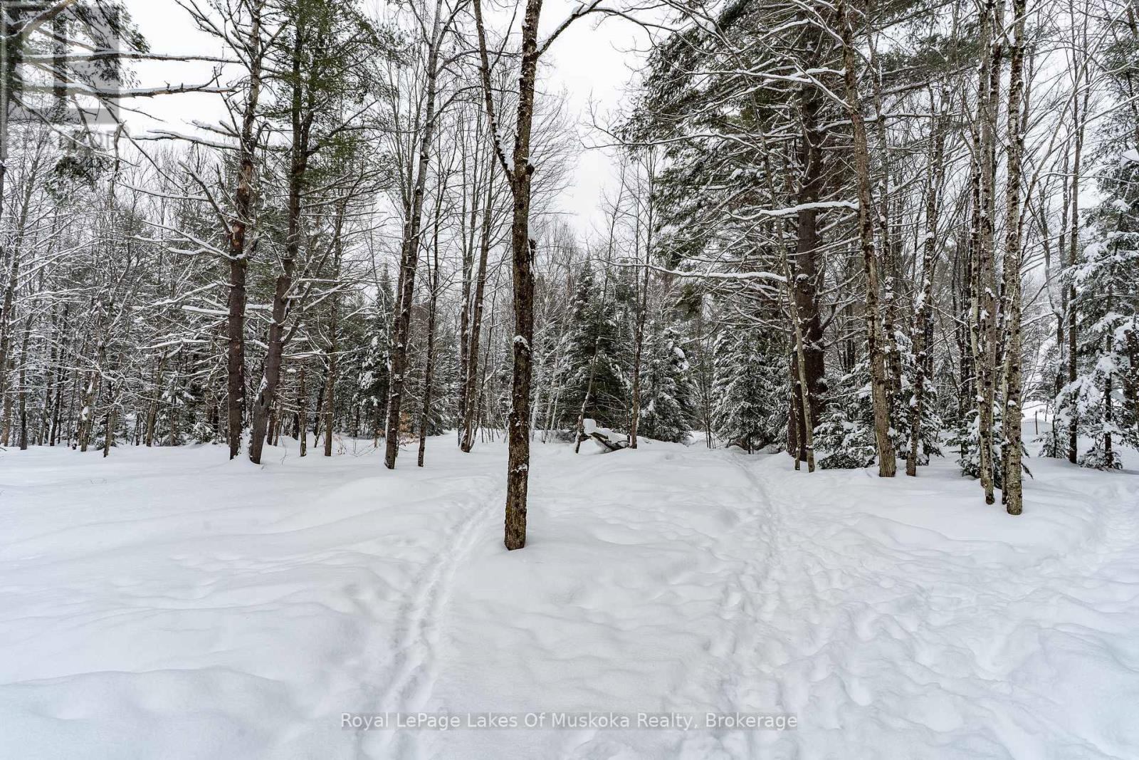 1039 Falkenburg Road, Bracebridge, Ontario  P1L 1X4 - Photo 11 - X12826080