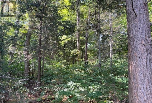 1448-2 West Oxbow Lake Road, Lake Of Bays, Ontario  P1H 2J6 - Photo 10 - X12826254