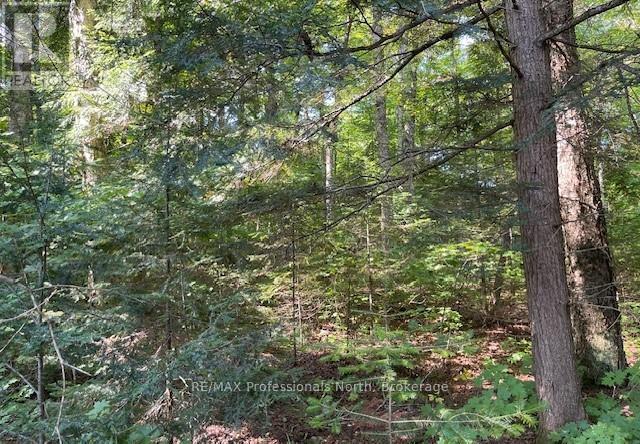 1448-2 West Oxbow Lake Road, Lake Of Bays, Ontario  P1H 2J6 - Photo 11 - X12826254