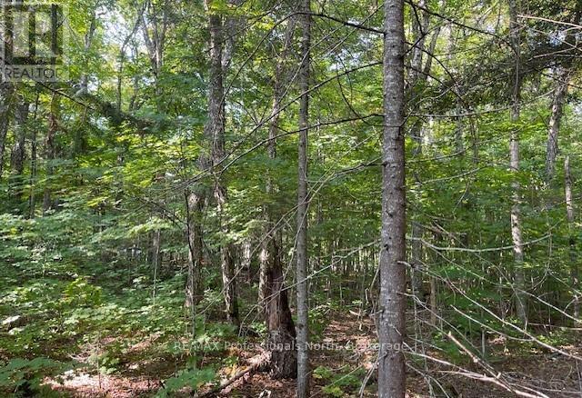 1448-2 West Oxbow Lake Road, Lake Of Bays, Ontario  P1H 2J6 - Photo 12 - X12826254